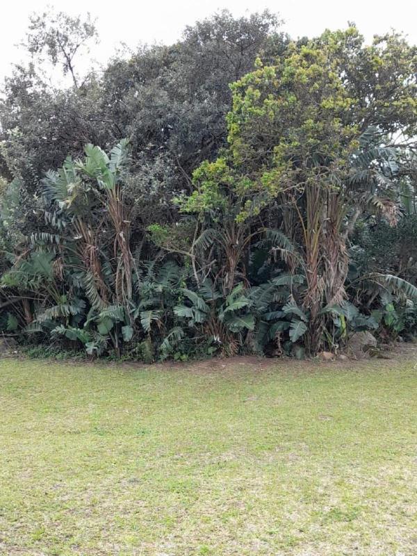 19 Montego Bay Caribbean Estate Appartement Port Edward Buitenkant foto