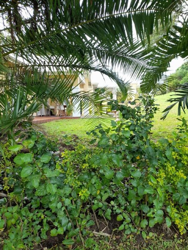 19 Montego Bay Caribbean Estate Appartement Port Edward Buitenkant foto